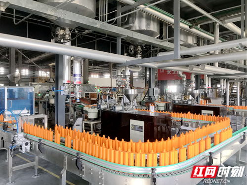 奔向新質④丨岳陽經開區(qū) 向綠、向數、向高端的靖竏科技實踐