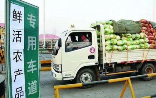 貨車司機夏天最不愿意拉的5種貨物，拉完一趟10天都緩不過來